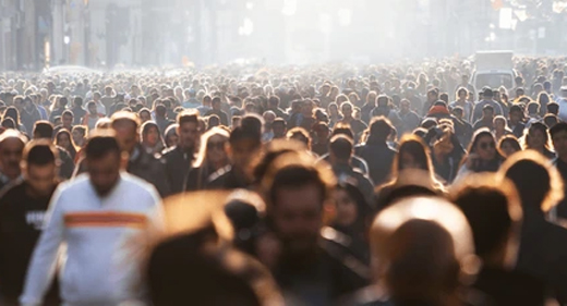 Crowd 
